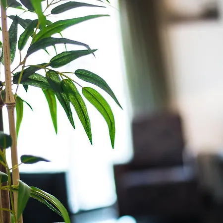 Martin's House Apartmán *